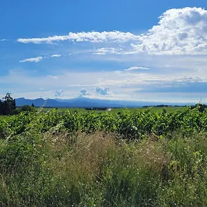 Le Willow , Chateauneuf-du-Pape France